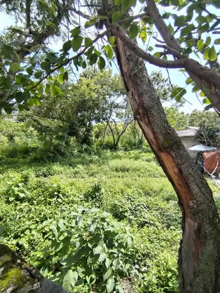 Terreno en venta en Tres de Mayo, Emiliano Zapata, Morelos