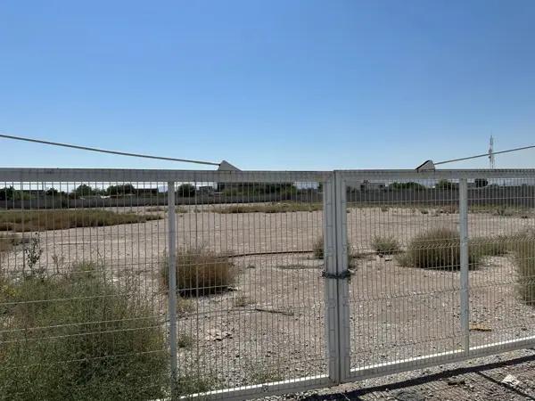 Terreno en renta en El Tajito, Torreón, Coahuila de Zaragoza