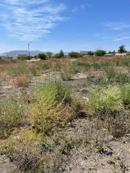 Terreno en venta en Apaseo El Alto Centro, Apaseo El Alto, Guanajuato