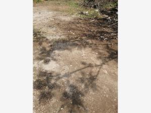 Terreno en venta en Residencial Yautepec, Yautepec, Morelos