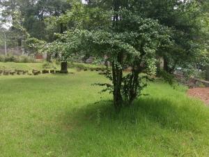 Terreno en venta en Sierra Encantada, Huitzilac, Morelos