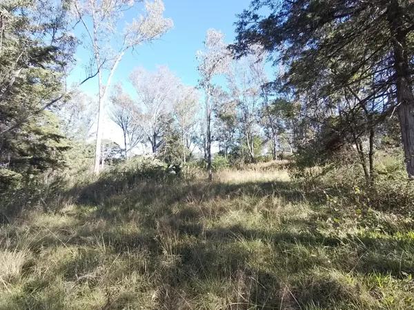 Terreno en venta en Álamos Haras, Puebla, Puebla