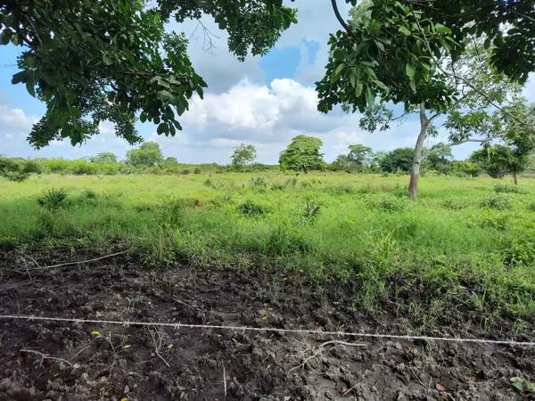 Terreno en venta en Tlalixcoyan, Tlalixcoyan, Veracruz de Ignacio de la Llave