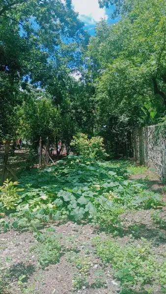 Terreno en venta en Estrella, Parras, Coahuila de Zaragoza