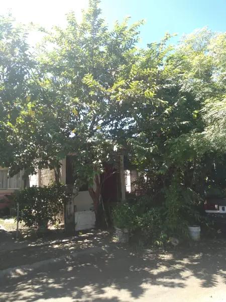 Casa en venta en Santa Fe, Bahía de Banderas, Nayarit Casa en venta en Santa Fe, Bahía de Banderas, Nayarit