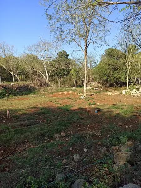 Terreno Residencial en Venta en Sitpach, Mérida