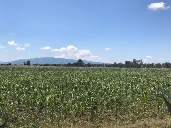 Terreno en venta en El Tesoro, Polotitlán, México