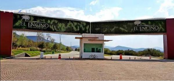 Terreno en venta en El Encino, Huimilpan, Querétaro