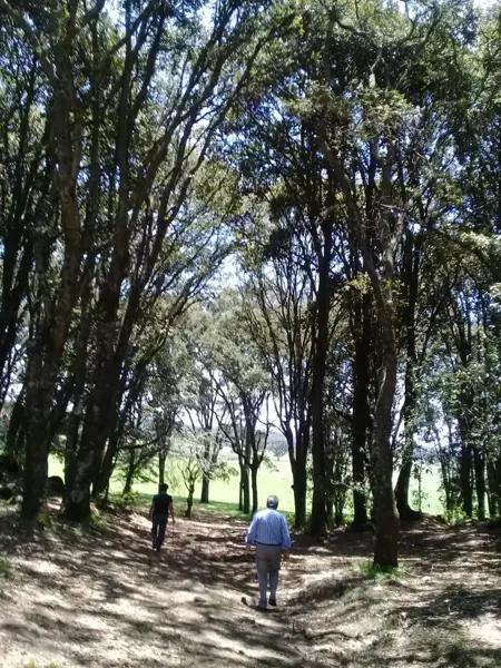 Terreno en venta en Canalejas, Jilotepec, México
