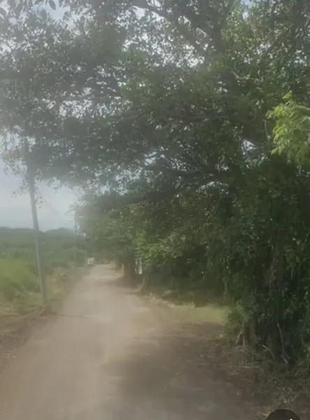 Terreno en venta en Paso Colorado, Boca del Río, Veracruz de Ignacio de la Llave