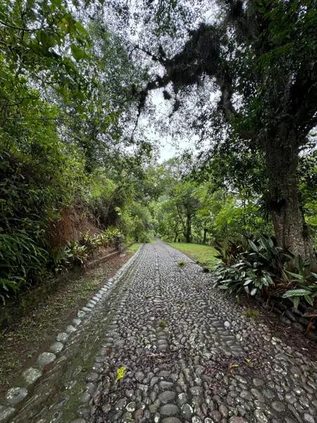 Terreno en venta en Los Carriles, Coatepec, Veracruz de Ignacio de la Llave