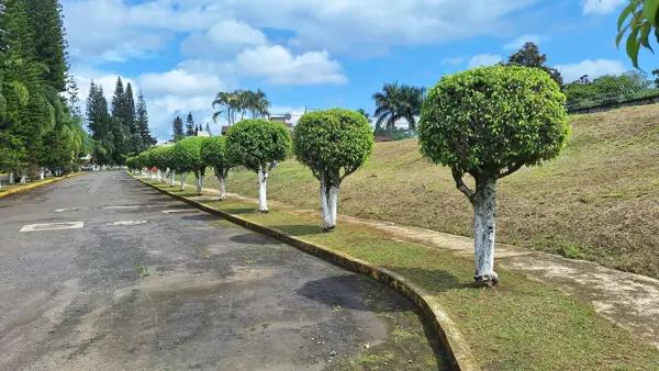 Terreno en venta en Lomas de la Llave, Fortín, Veracruz de Ignacio de la Llave