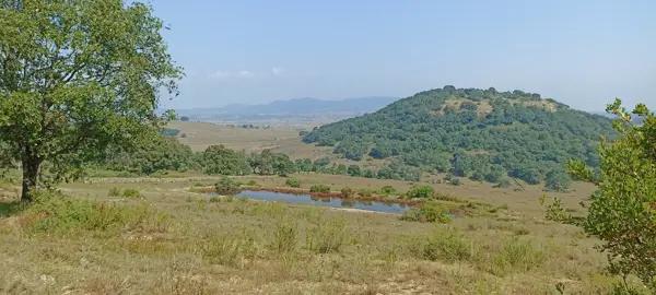 Finca-Rancho en venta en San Juan Dehedó, Amealco de Bonfil, Querétaro
