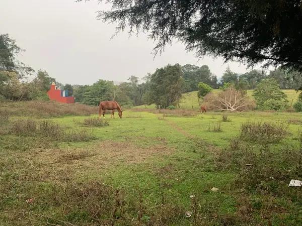 Terreno en venta en Xico, Xico, Veracruz de Ignacio de la Llave