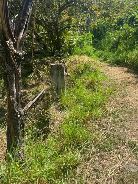 Terreno en venta en Alta Palmira, Temixco, Morelos