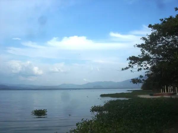 Terreno en venta en Pie de la Cuesta, Acapulco de Juárez, Guerrero Terreno en venta en Pie de la Cuesta, Acapulco de Juárez, Guerrero