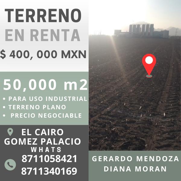 Terreno en renta en San Antonio, Gómez Palacio, Durango