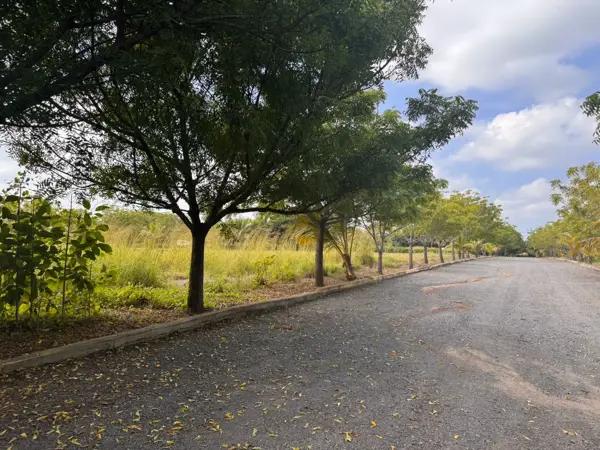 Terreno en venta en Moralillo, Medellín de Bravo, Veracruz de Ignacio de la Llave