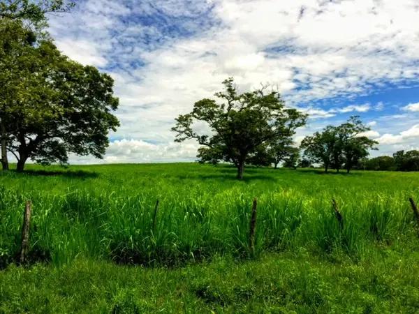 Terreno en venta en Mactun, Balancán, Tabasco