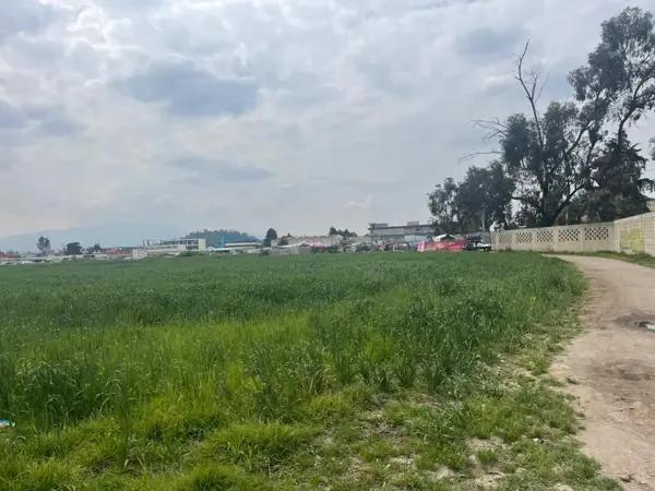 Terreno en renta en San Mateo, Metepec, México