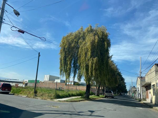 Terreno en venta en San Mateo Oxtotitlan, Toluca, México