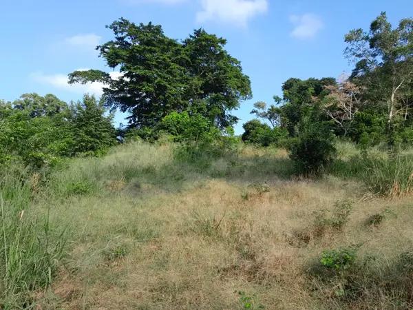Terreno en venta en Donato Márquez Azuara, Papantla, Veracruz de Ignacio de la Llave