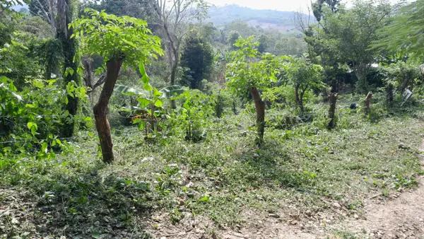 Terreno en venta en Cerro Del Mesón, Poza Rica de Hidalgo, Veracruz de Ignacio de la Llave