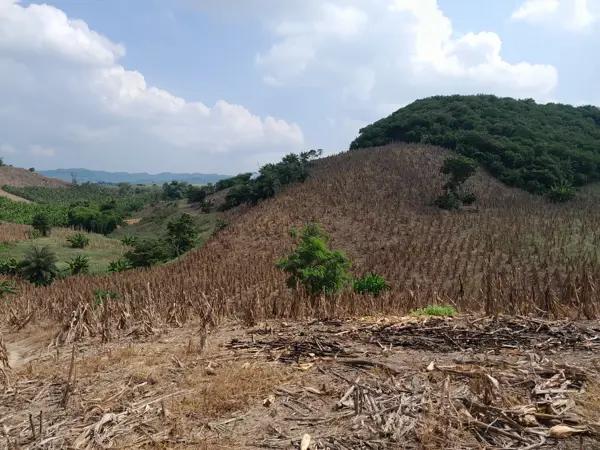 Terreno en venta en Santa Águeda, Papantla, Veracruz de Ignacio de la Llave