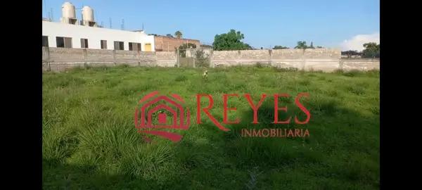 Terreno en venta en Pazulco, Yecapixtla, Morelos