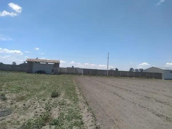 Terreno en venta y renta en Chipilo de Francisco Javier Mina, San Gregorio Atzompa, Puebla
