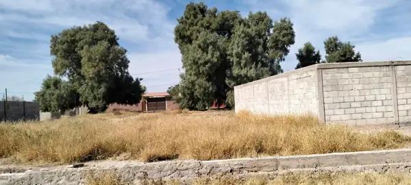 Terreno en venta en El Olivo, Matamoros, Coahuila de Zaragoza