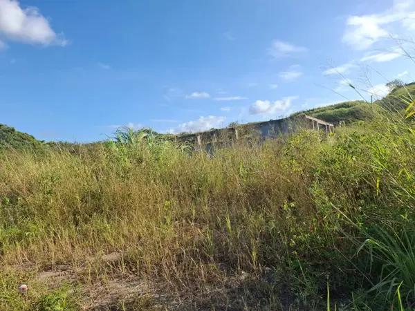 Terreno en venta en Alvarado Centro, Alvarado, Veracruz de Ignacio de la Llave Terreno en venta en Alvarado Centro, Alvarado, Veracruz de Ignacio de la Llave
