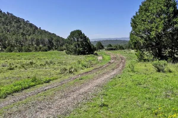 Terreno en venta en Los Llanos, Arteaga, Coahuila de Zaragoza