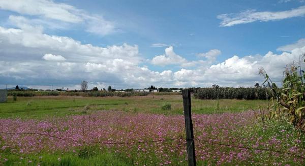 Terreno en venta en San Miguel Totocuitlapilco, Metepec, México