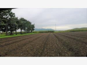 Terreno en venta en San Andrés Cholula Centro, San Andrés Cholula, Puebla