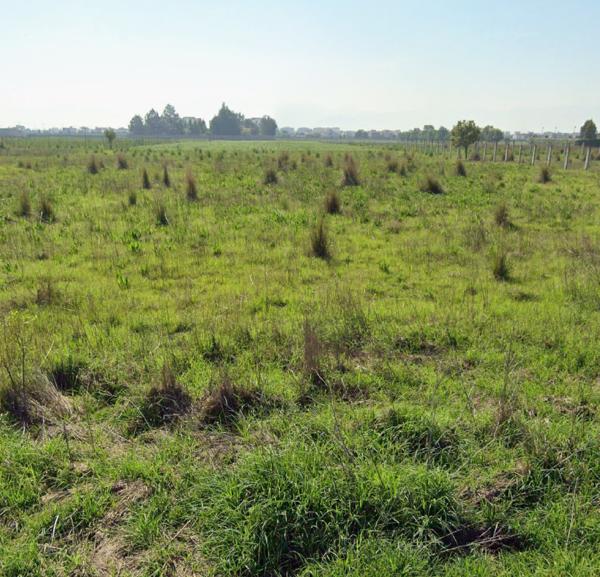 Terreno en venta en San Miguel Totocuitlapilco, Metepec, México