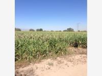 Terreno en venta en Alvaro Obregon, Lerdo, Durango
