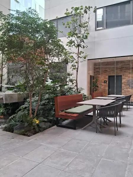 Departamento en renta en Roma Norte, Cuauhtémoc, Ciudad de México
