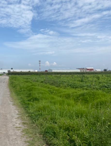 Terreno en venta en San Blas Otzacatipan, Toluca, México