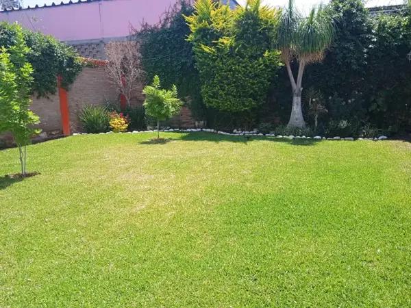 Oficina en venta en Estrella, Torreón, Coahuila de Zaragoza