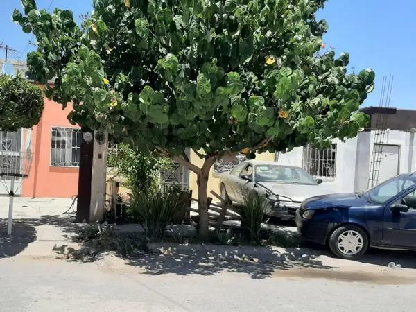 Casa en venta en La Perla, Torreón, Coahuila de Zaragoza