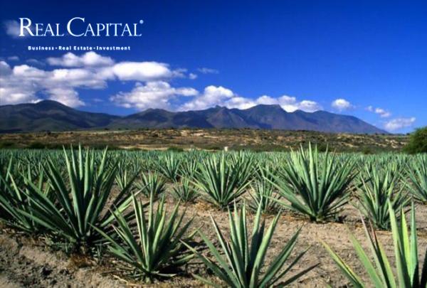 Terreno en venta en Tlacolula de Matamoros Centro, Tlacolula de Matamoros, Oaxaca