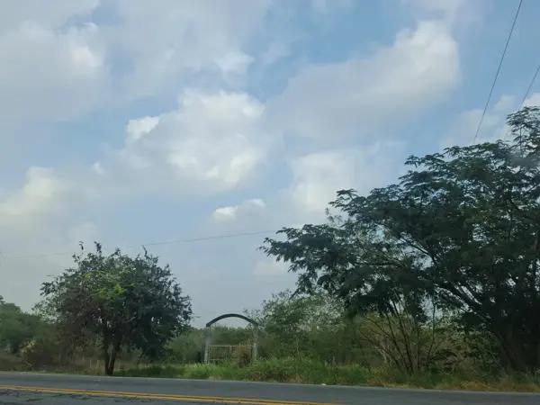 Finca-Rancho en venta en Cantarranas, Paso de Ovejas, Veracruz de Ignacio de la Llave