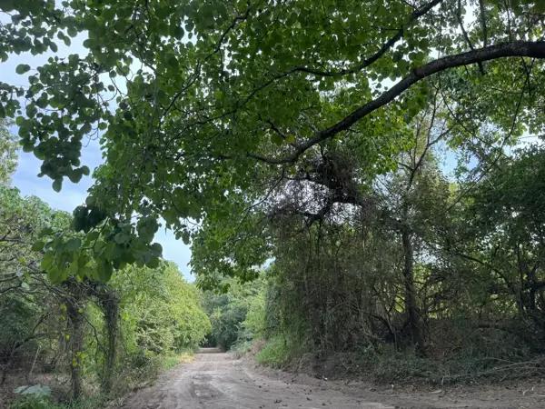Terreno en venta en Surcua, La Unión de Isidoro Montes de Oca, Guerrero