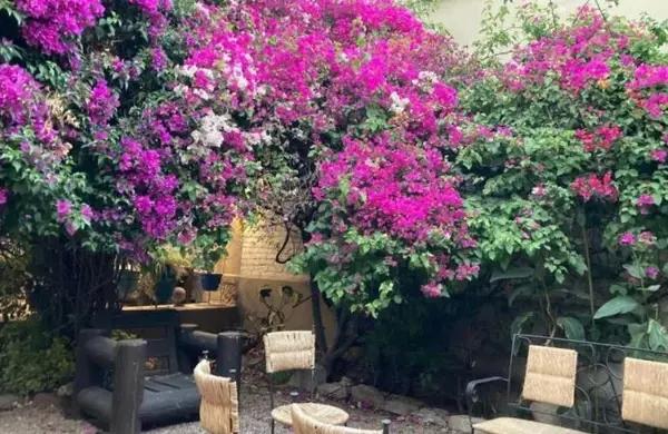 Casa en venta en Centro, Querétaro, Querétaro