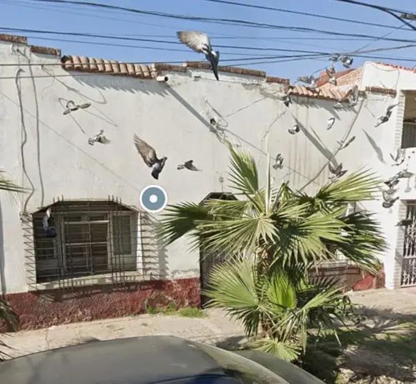 Terreno en venta en Gomez Palacio Centro, Gómez Palacio, Durango