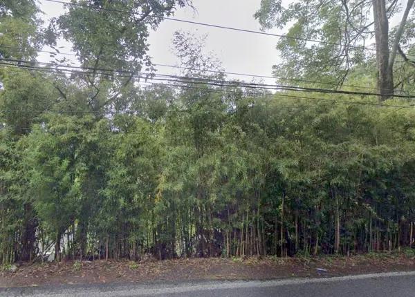 Terreno en venta en Avandaro, Valle de Bravo, México
