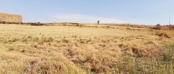 Terreno en venta en Santa Maria Magdalena Ocotitlan, Metepec, México