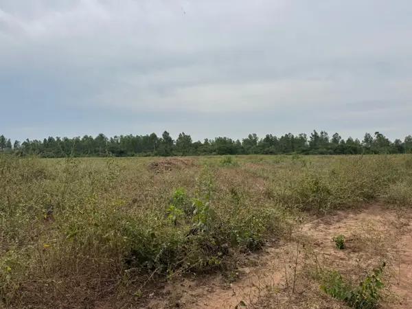 Terreno en venta en La Salada, La Unión de Isidoro Montes de Oca, Guerrero