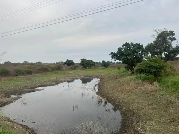 Terreno en venta en La Mira, Zihuatanejo de Azueta, Guerrero